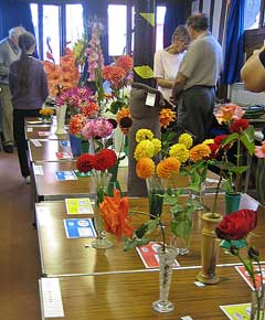 Vases of colourful flowers on display tables at an indoor flower show, with people observing in the background.